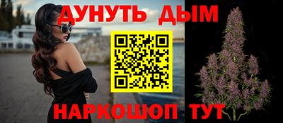 гидропоника Канаш